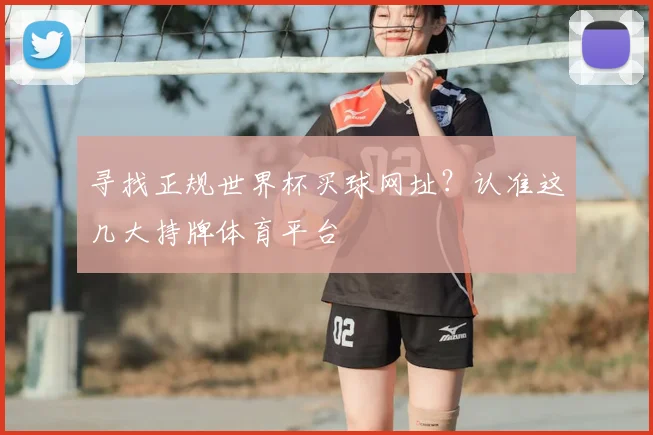 寻找正规世界杯买球网址？认准这几大持牌体育平台