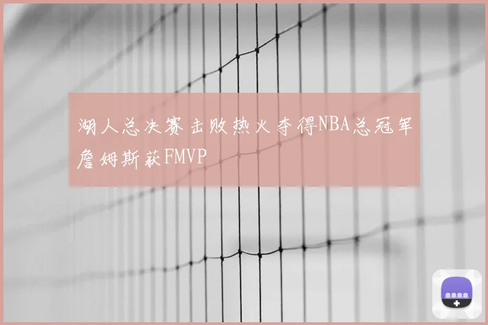 湖人总决赛击败热火夺得NBA总冠军詹姆斯获FMVP