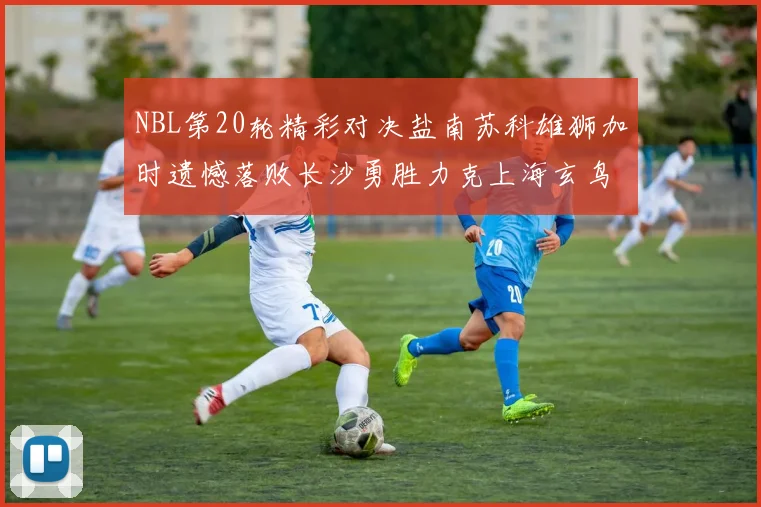 NBL第20轮精彩对决盐南苏科雄狮加时遗憾落败长沙勇胜力克上海玄鸟