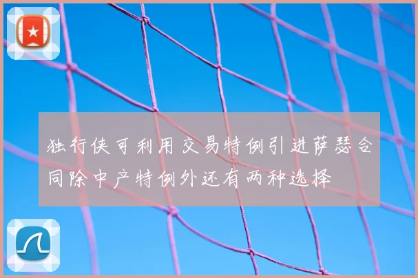 独行侠可利用交易特例引进萨瑟合同除中产特例外还有两种选择