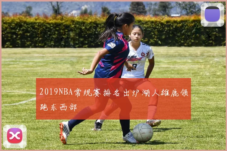 2019NBA常规赛排名出炉湖人雄鹿领跑东西部