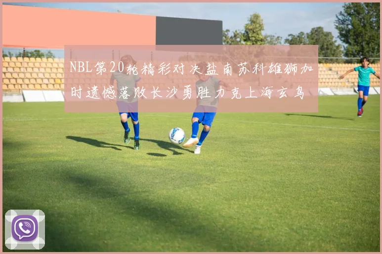 NBL第20轮精彩对决盐南苏科雄狮加时遗憾落败长沙勇胜力克上海玄鸟