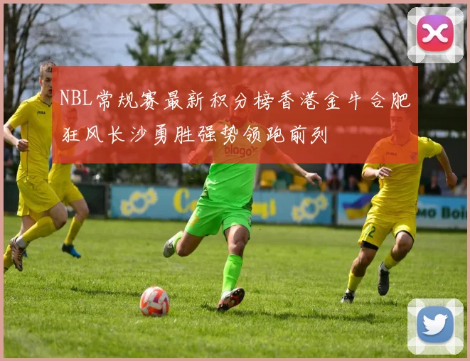 NBL常规赛最新积分榜香港金牛合肥狂风长沙勇胜强势领跑前列