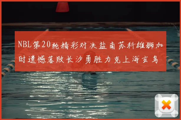 NBL第20轮精彩对决盐南苏科雄狮加时遗憾落败长沙勇胜力克上海玄鸟