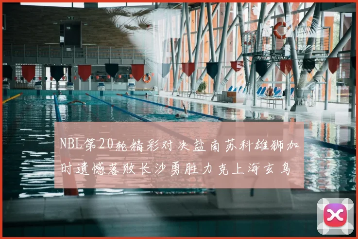 NBL第20轮精彩对决盐南苏科雄狮加时遗憾落败长沙勇胜力克上海玄鸟