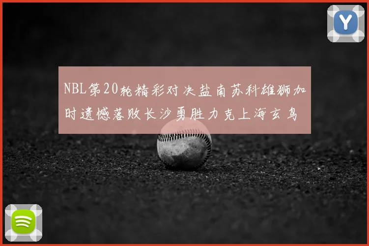 NBL第20轮精彩对决盐南苏科雄狮加时遗憾落败长沙勇胜力克上海玄鸟