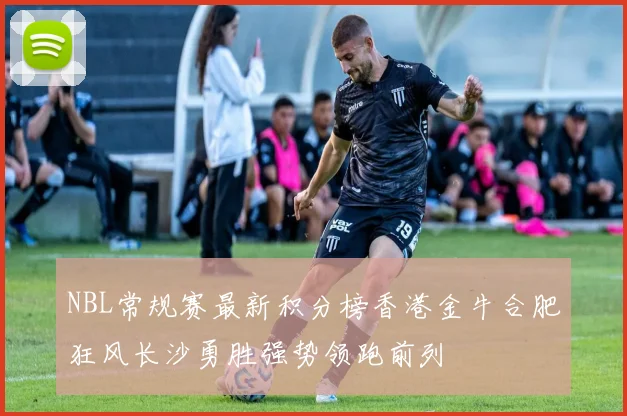 NBL常规赛最新积分榜香港金牛合肥狂风长沙勇胜强势领跑前列