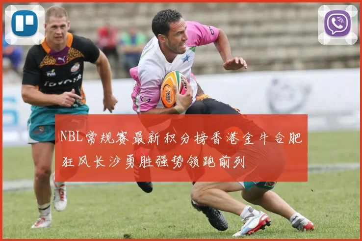 NBL常规赛最新积分榜香港金牛合肥狂风长沙勇胜强势领跑前列