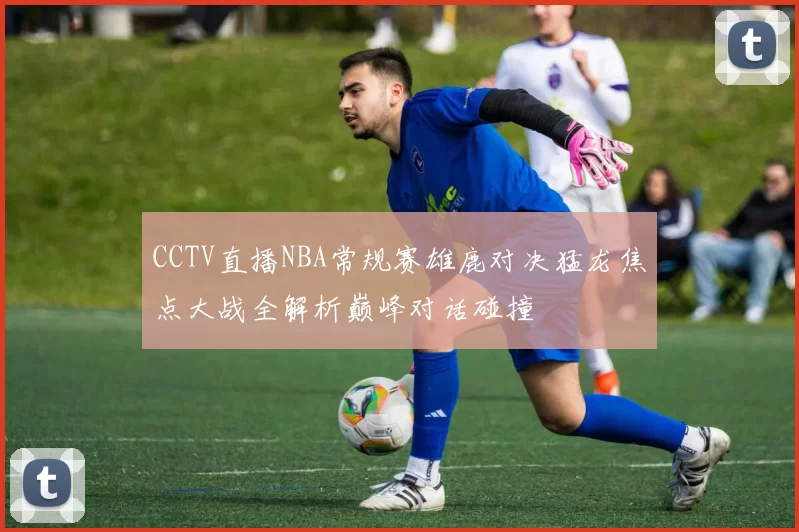 CCTV直播NBA常规赛雄鹿对决猛龙焦点大战全解析巅峰对话碰撞
