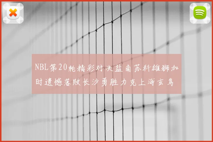 NBL第20轮精彩对决盐南苏科雄狮加时遗憾落败长沙勇胜力克上海玄鸟