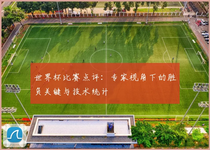 世界杯比赛点评:专家视角下的胜负关键与技术统计