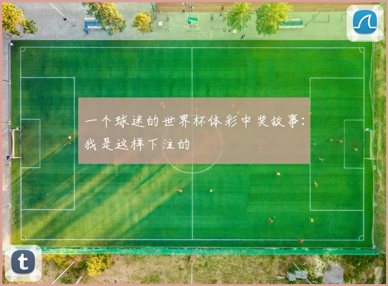 一个球迷的世界杯体彩中奖故事：我是这样下注的