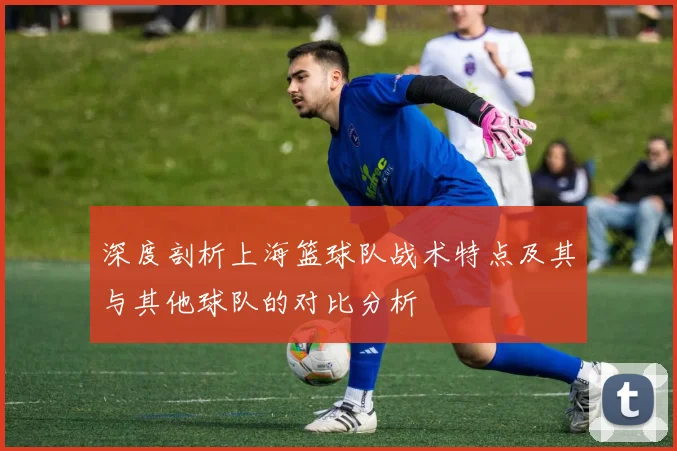 深度剖析上海篮球队战术特点及其与其他球队的对比分析