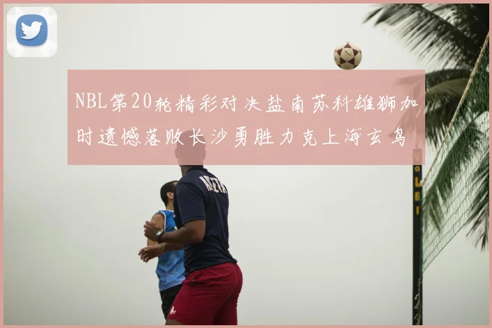 NBL第20轮精彩对决盐南苏科雄狮加时遗憾落败长沙勇胜力克上海玄鸟