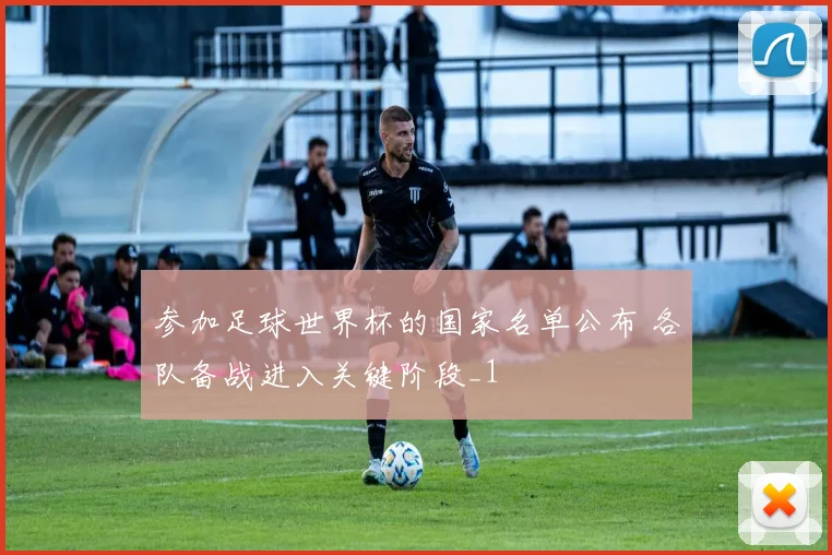 参加足球世界杯的国家名单公布 各队备战进入关键阶段_1