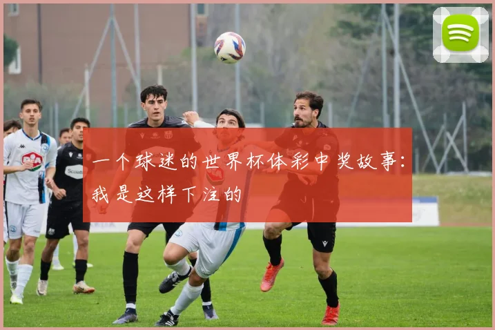 一个球迷的世界杯体彩中奖故事：我是这样下注的