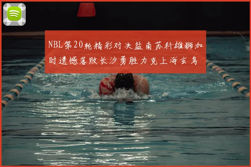 NBL第20轮精彩对决盐南苏科雄狮加时遗憾落败长沙勇胜力克上海玄鸟