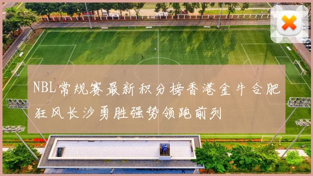 NBL常规赛最新积分榜香港金牛合肥狂风长沙勇胜强势领跑前列