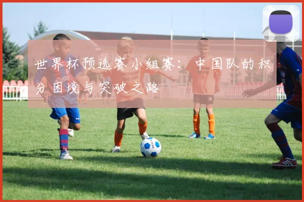 世界杯预选赛小组赛：中国队的积分困境与突破之路