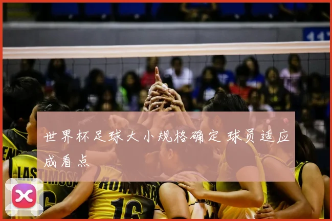 世界杯足球大小规格确定 球员适应成看点