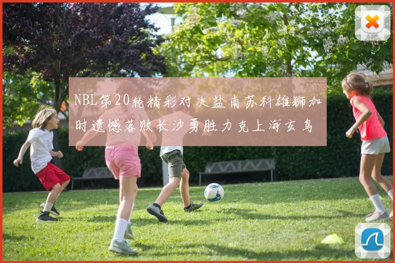 NBL第20轮精彩对决盐南苏科雄狮加时遗憾落败长沙勇胜力克上海玄鸟