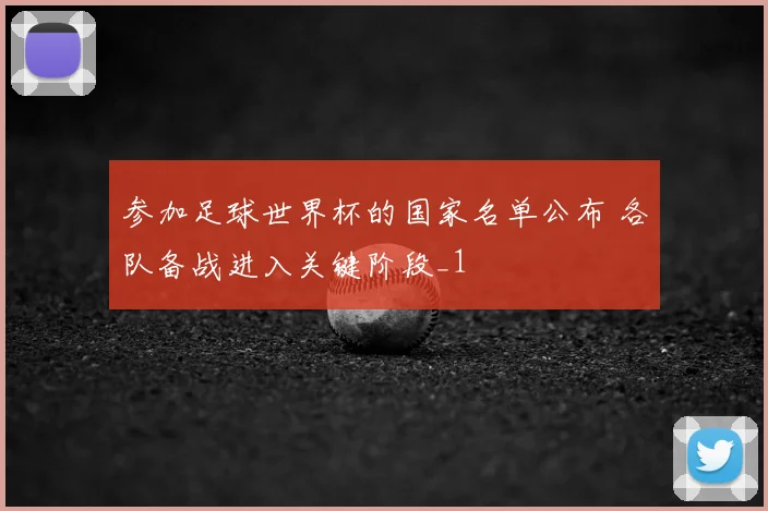 参加足球世界杯的国家名单公布 各队备战进入关键阶段_1