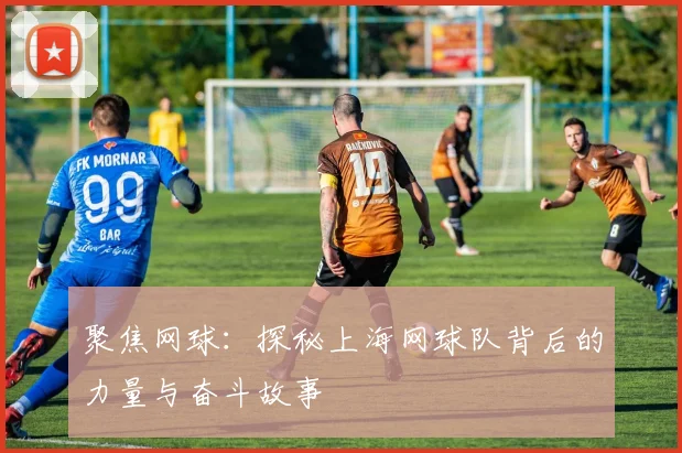 聚焦网球：探秘上海网球队背后的力量与奋斗故事