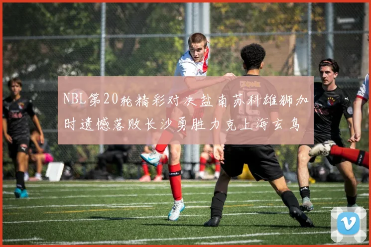 NBL第20轮精彩对决盐南苏科雄狮加时遗憾落败长沙勇胜力克上海玄鸟